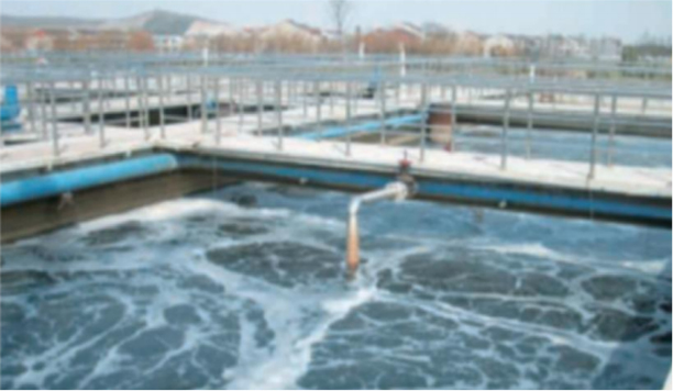Máy khuếch tán ống cho nhà máy xử lý nước thải - trường hợp 2