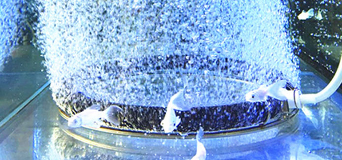 Ống dẫn khí cho ao